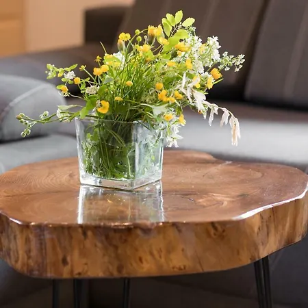 Dağ evi Goralski Sucha Woda Ciche Małe